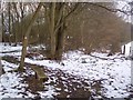 Bench on footpath in Timber Wood