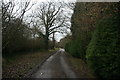 The Eden Valley Walk near Delaware Farm