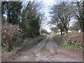 Farm track, leading north, from Hesford Road