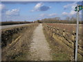 Bridleway by the side of the road