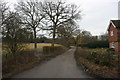 Country lane near Hever