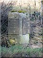 Milestone, Abbotts Ann Down