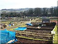 Allotments, Salisbury