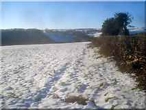 SO2554 : Snow covered fields above the Gladestry Brook valley by Trevor Rickard