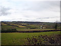 Field at Studhayes Farm