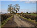 View North up the lane to Tiddington