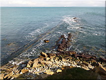 SZ0478 : Swanage: the very end of Peveril Point by Chris Downer
