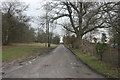 Track along the edge of Park Wood