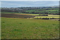 Pasture land, Golden Valley