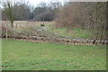 Hedge laying