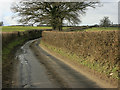 2010 : Lane to Colerne