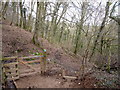 A gate on the footpath through Watercombe woods