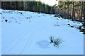 NH6572 : Snowy forest road near Cnoc Navie by Steven Brown
