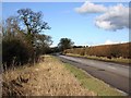 SP2657 : Lane near Charlecote by David P Howard