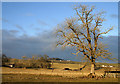 Farmland at Penpont