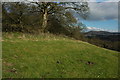 Kilbury Camp, near Ledbury