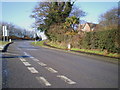 The Shelton milestone in its setting