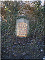 The Bicton milestone - detail