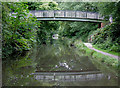 Canal footbridge near Dickens Heath, Solihull