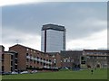 The Arts Tower and The Boomerang Pub, viewed from The Ponderosa, Sheffield