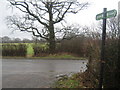 The Greensand Way crosses Capel Road