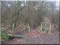 Footpath junction near Roughstocks Wood