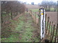 Saxon Shore Way near Gill Farm House