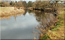 J2866 : The River Lagan near Lambeg (3) by Albert Bridge