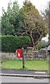 Postbox, Whatlington Rd