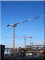 SU4767 : Cranes on the site by Bill Nicholls