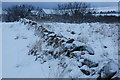 Old dyke in the snow near Daisy Park, Baltasound