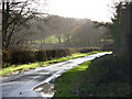 Lane from Elsted Marsh to Treyford