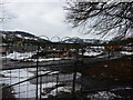 Lumber mill protected by razor wire