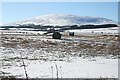 Looking towards Knock Hill from Begburn