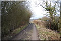 Track to Lower Gate Farm