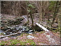 NY9458 : Footbridge over Heron's Burn just before it enters Devil's Water by Clive Nicholson