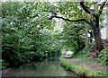 Stratford-upon-Avon Canal near Whitlock