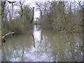 Moat  near All Saints Church