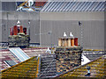 Rooftops of Hove, East Sussex