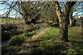 Stream through Childswickham