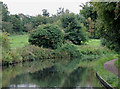 Stratford-upon-Avon Canal near King