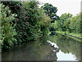 Stratford-upon-Avon Canal near King