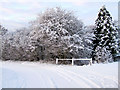 Snowscene at  Wilberfoss