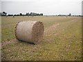 Stubble, Linkfield