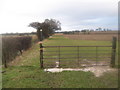 Gate near Little Court Lodge Farm