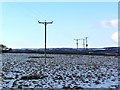 Leyburn Moor, from Whipperdale Bank