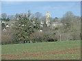 Field near Sampford Courtenay