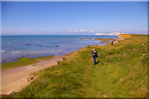 SZ3883 : Coastal Path, Brook Bay, Isle of Wight by Christine Matthews