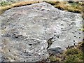 NT9737 : Cup and ring marked rock, Broomridge by Andrew Curtis