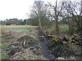 Stream on the edge of Hurn Forest